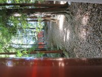 IMG_0830.JPG